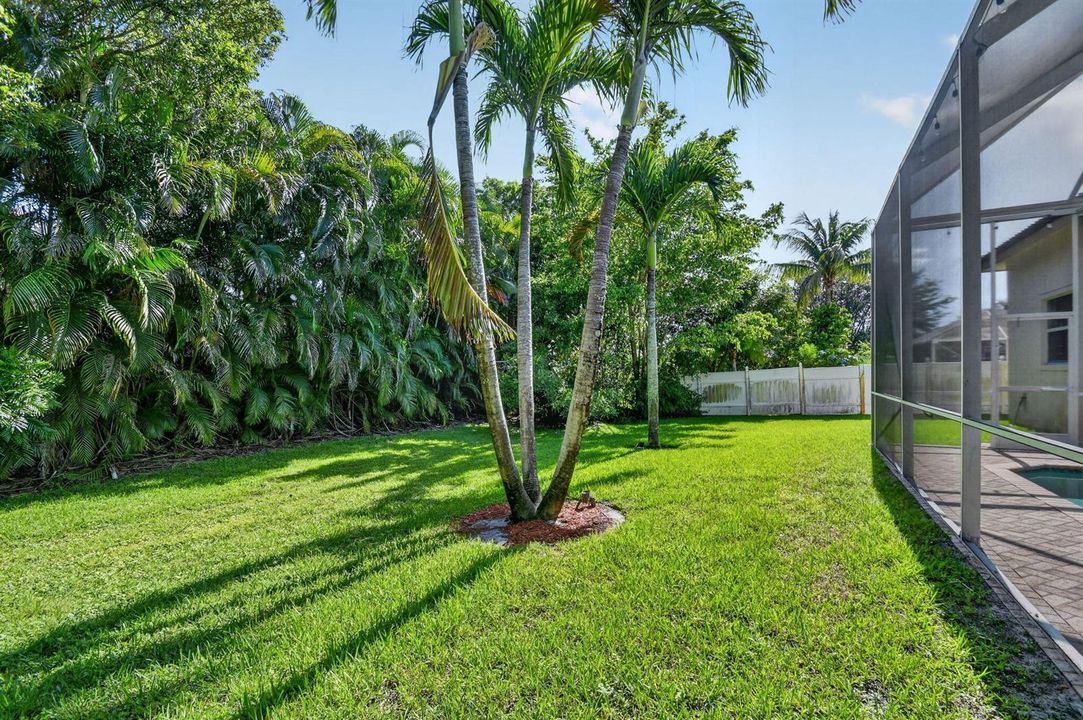 impeccably maintained yard