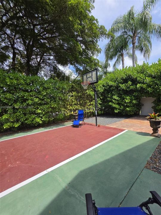 BASKETBALL COURT