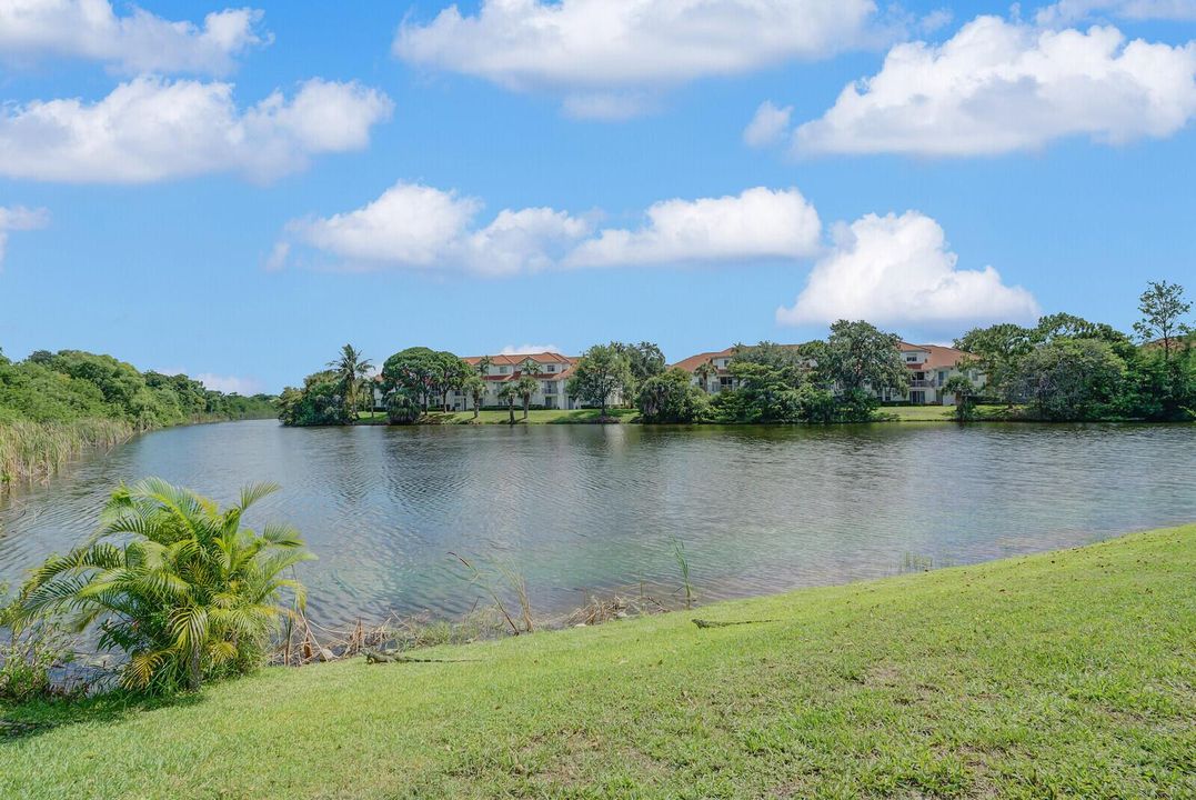 Lake