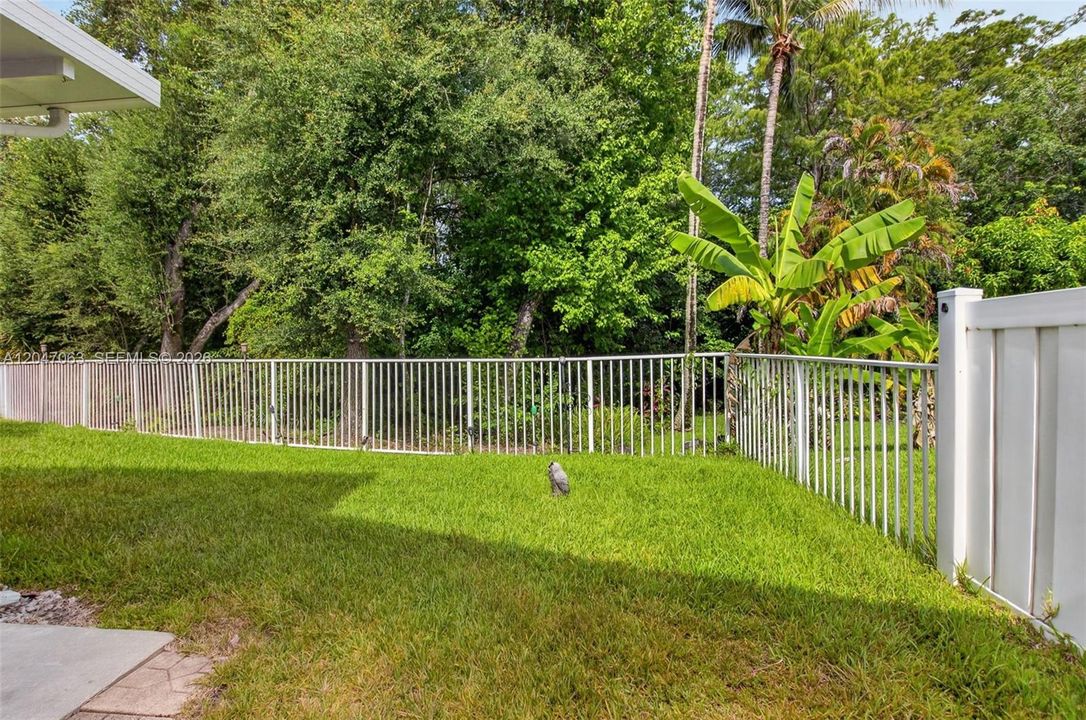 Backyard Preserve