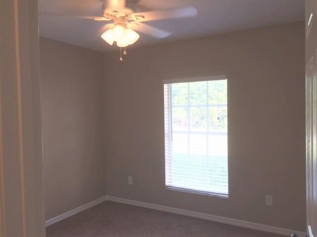 3832 Hale BD2