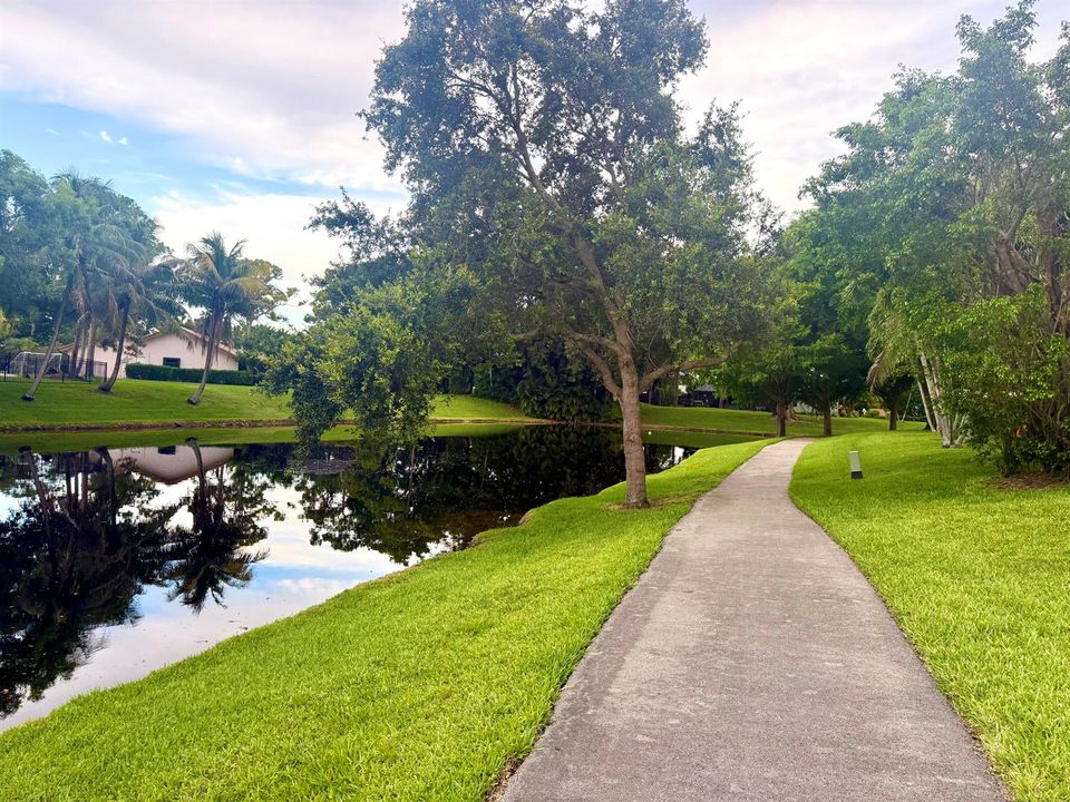 Walking Path