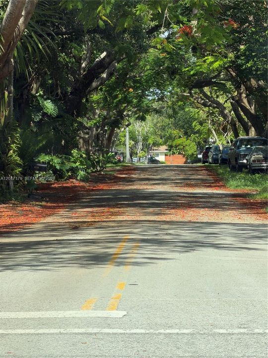 Beautiful SW 49 ST2 sidewalks.