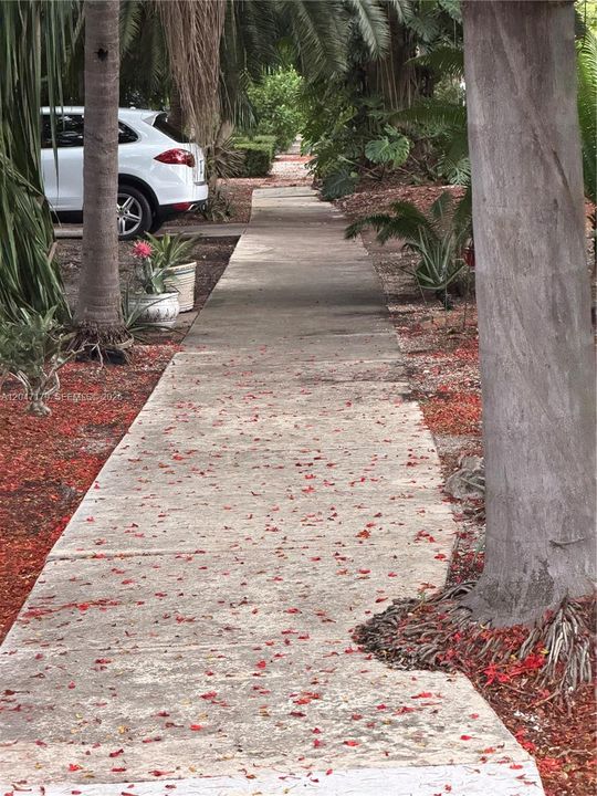 For Rent: $1,950 (2 beds, 1 baths, 1478 Square Feet)