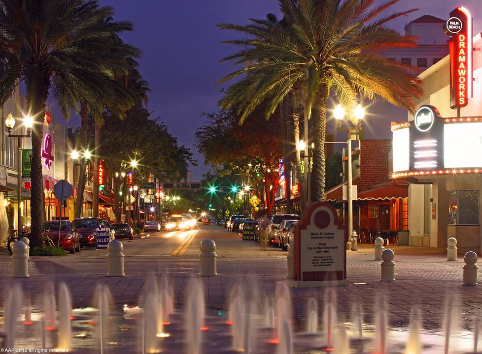 Clematis West Palm by Night 2012 AAP