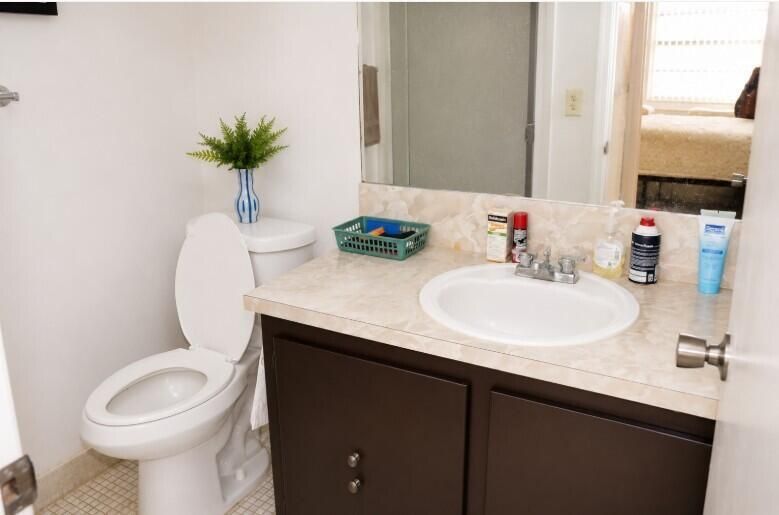 master bathroom sink
