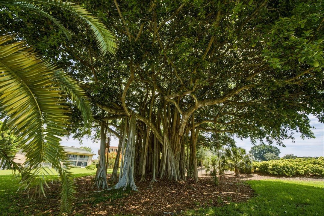 10720 Ave of the PGA Palm Beach Gardens