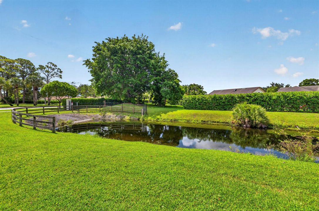 Canal View