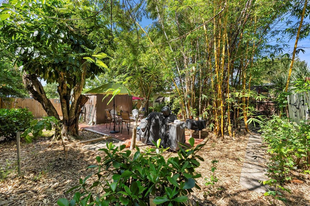 Backyard