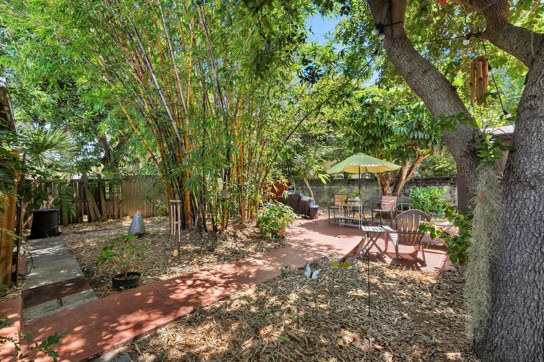 Backyard