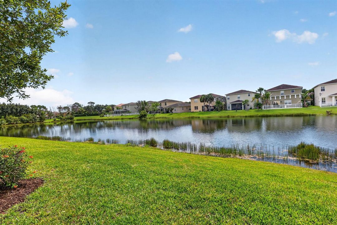 40-web-or-mls-5P1A3695