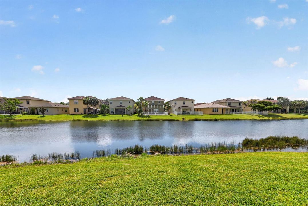 42-web-or-mls-5P1A3713