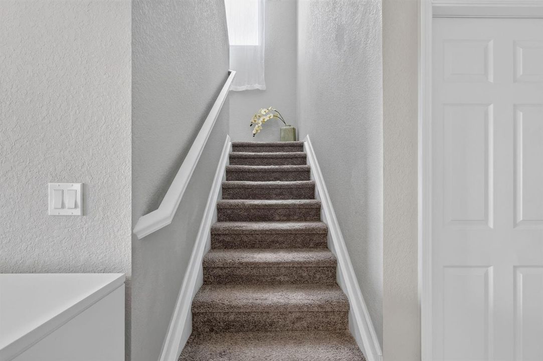 22-web-or-mls-5P1A3824