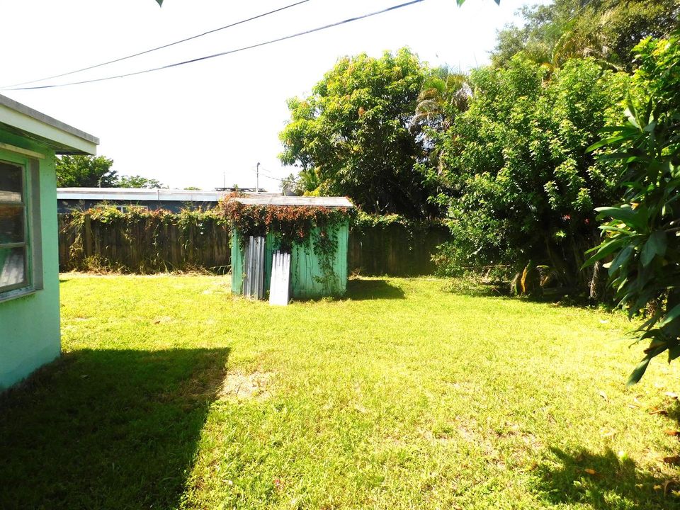 Backyard