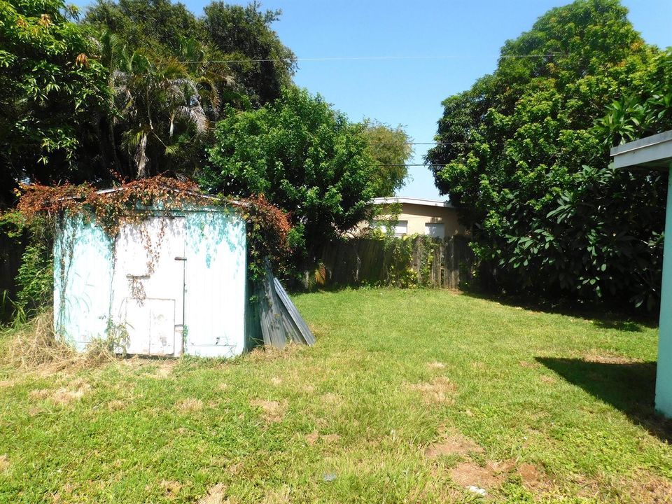 Backyard