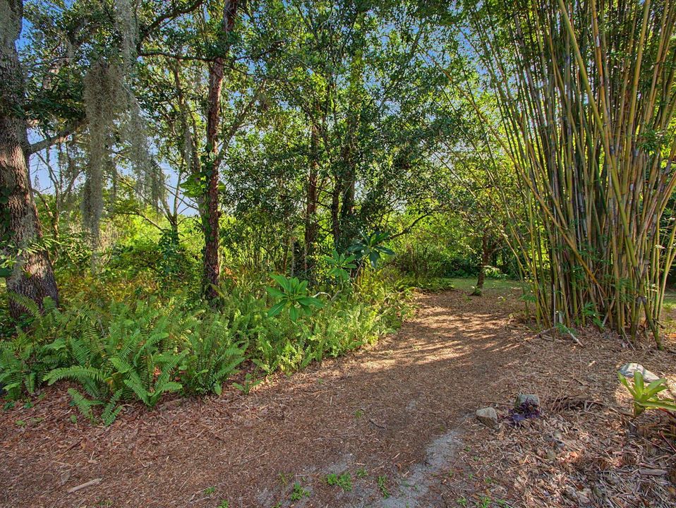 The Property