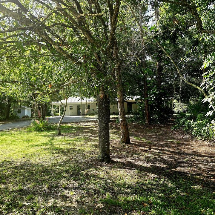 The Property
