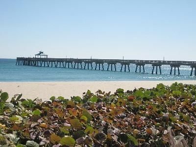 Deerfield Pier