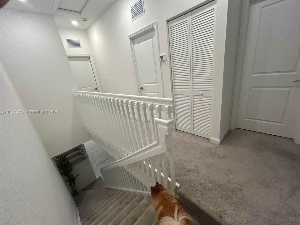 For Rent: $2,850 (3 beds, 2 baths, 1393 Square Feet)