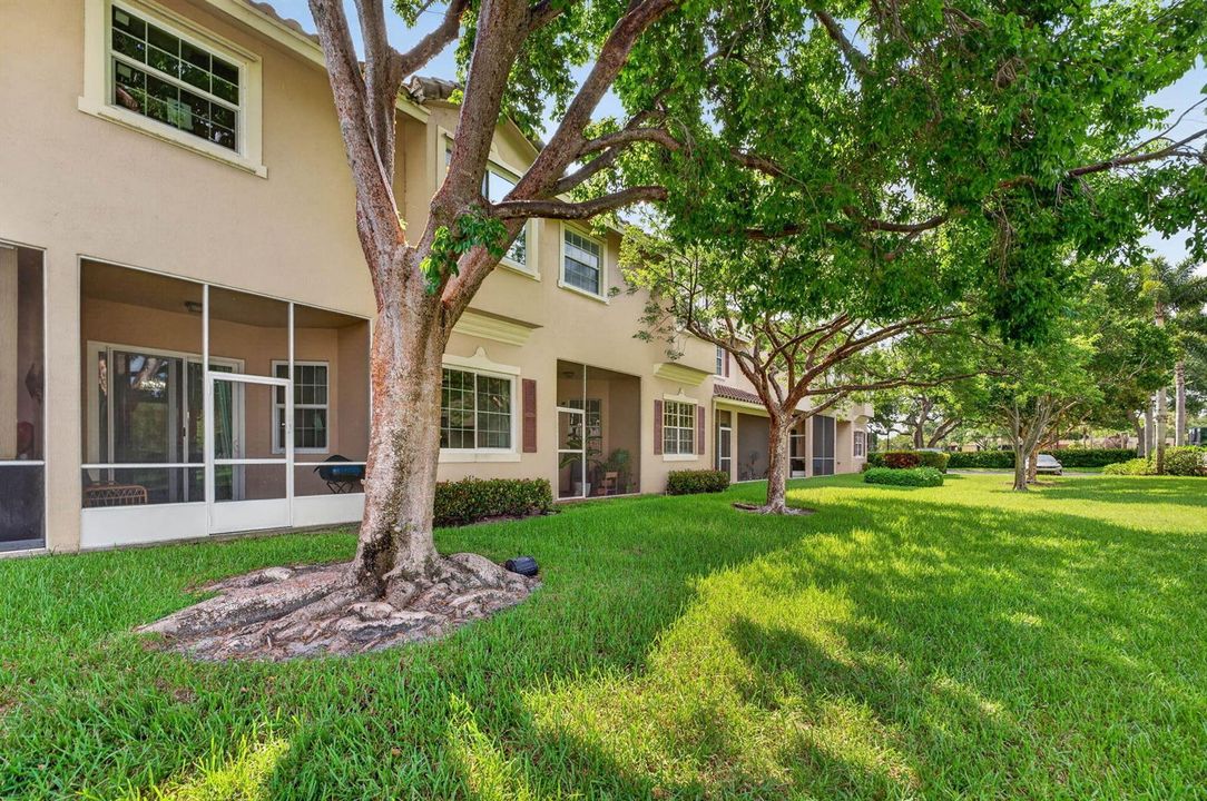 28-web-or-mls-DSC07888