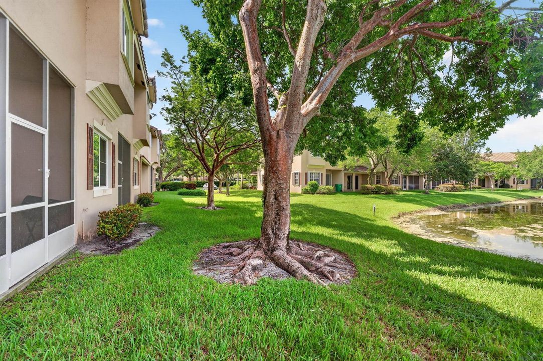 25-web-or-mls-DSC07872