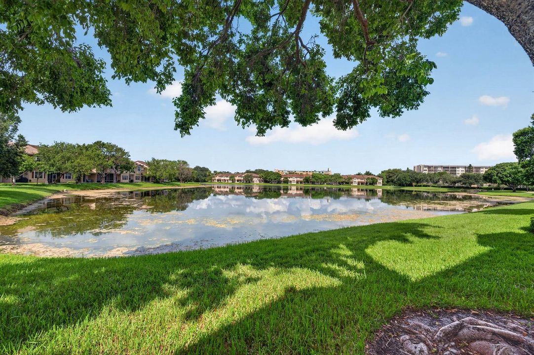24-web-or-mls-DSC07868