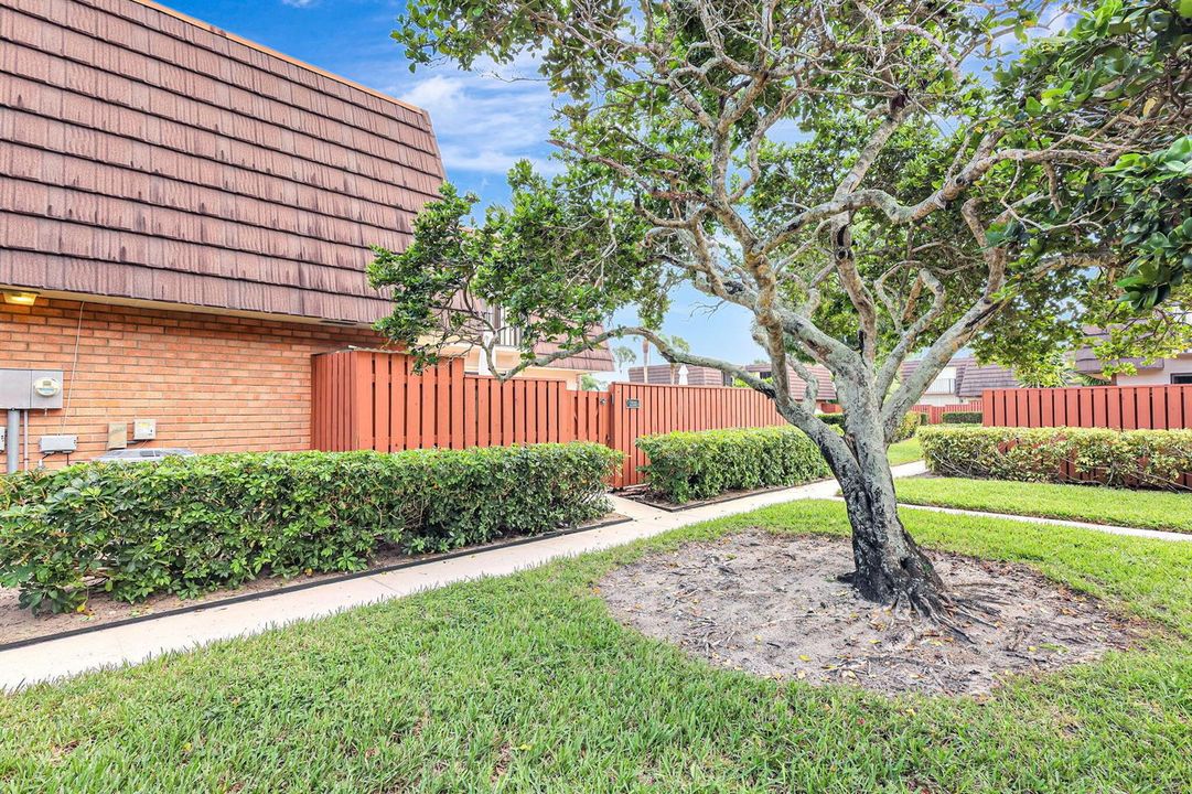 5-web-or-mls-5P1A9053