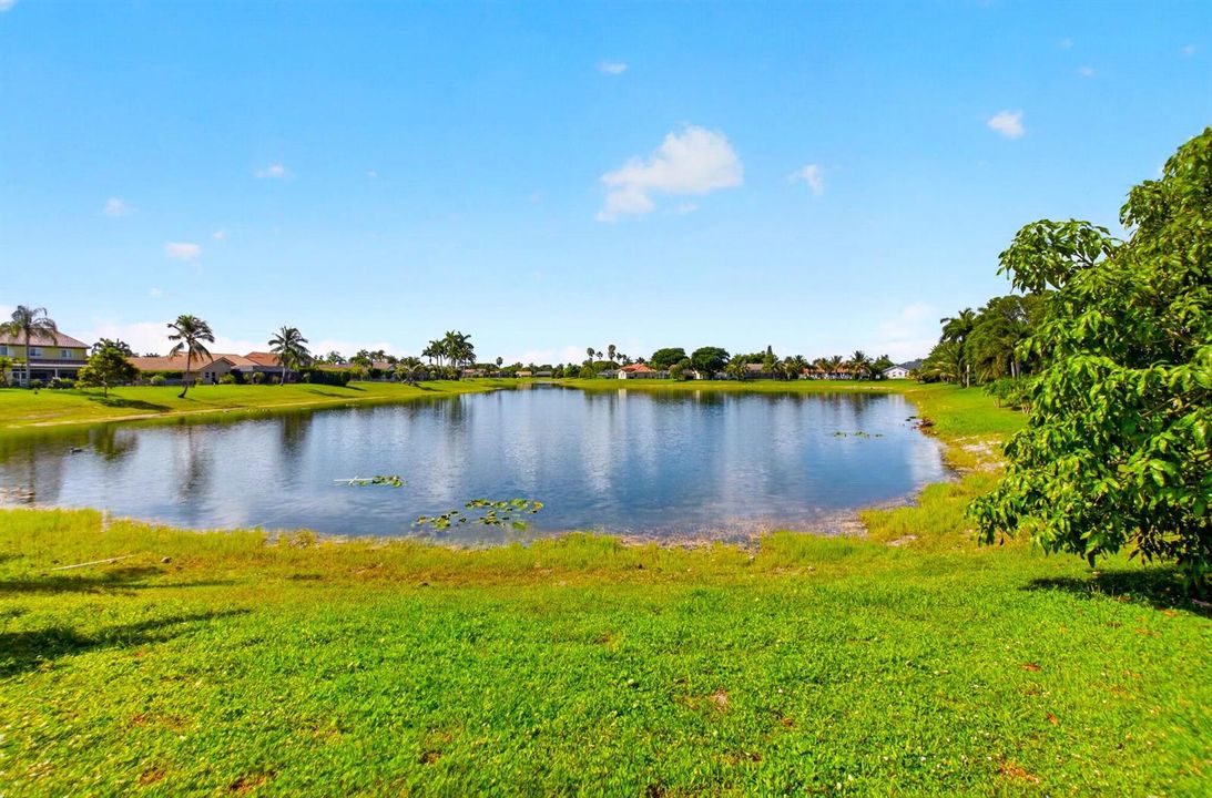 Long Lake Views