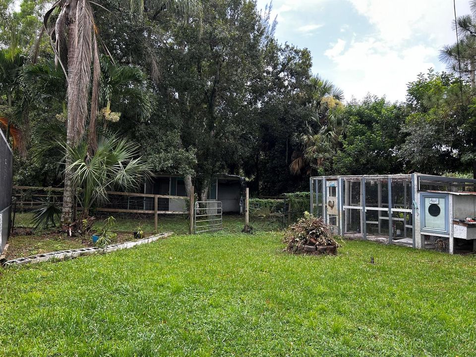 chicken coop