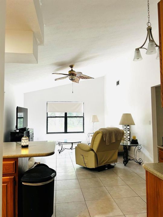 kitchen to living room