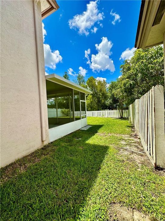 Side Yard