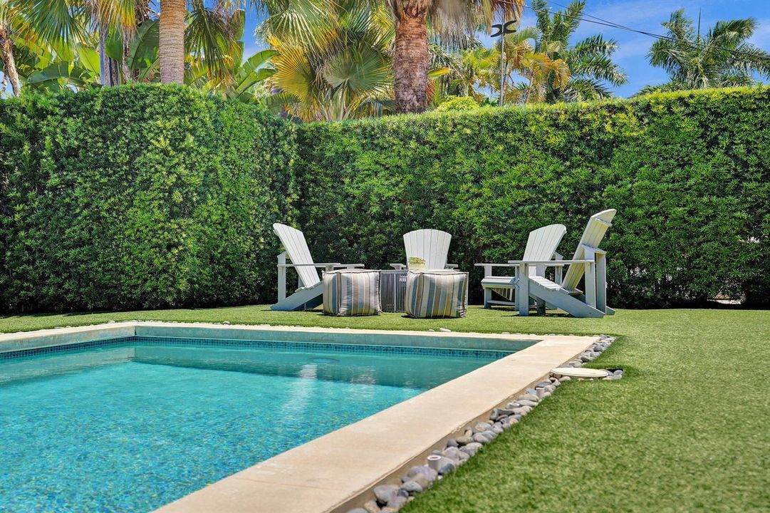 backyard4