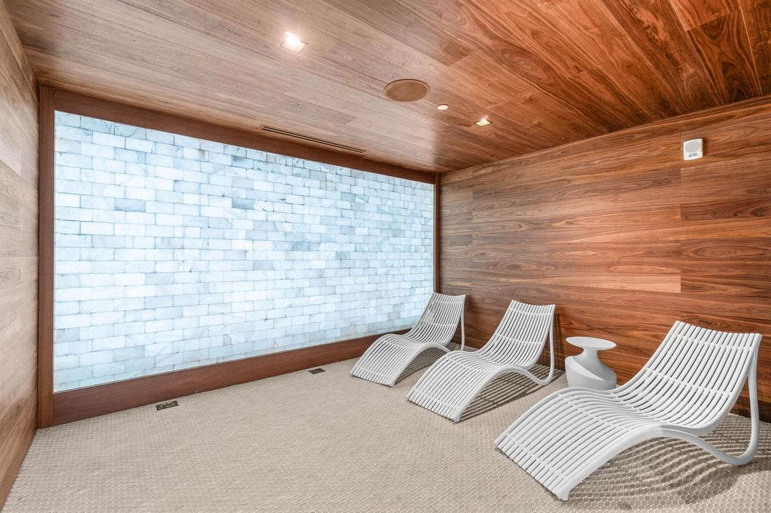 Alina 220 - SPA - Salt room