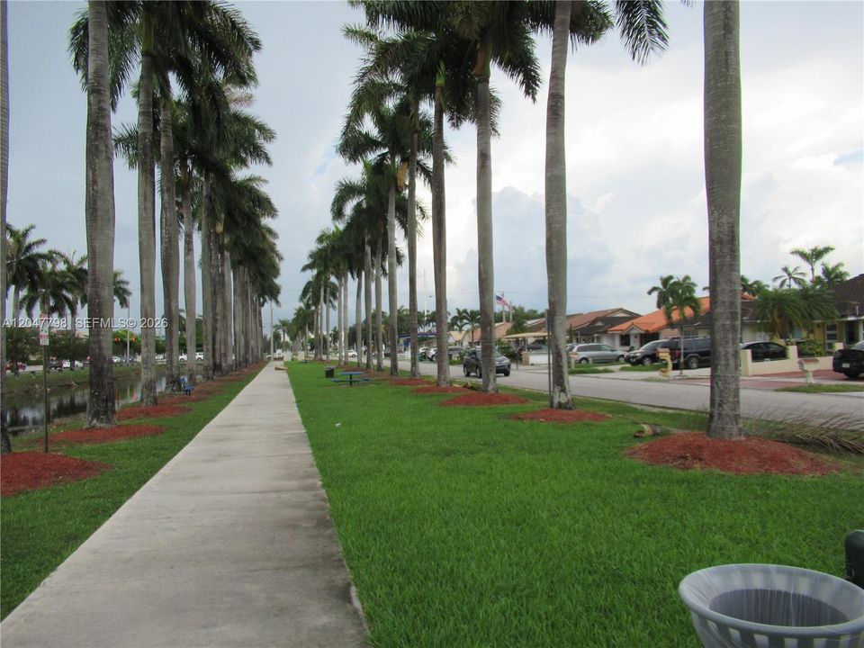Walking path across the street under palm trees