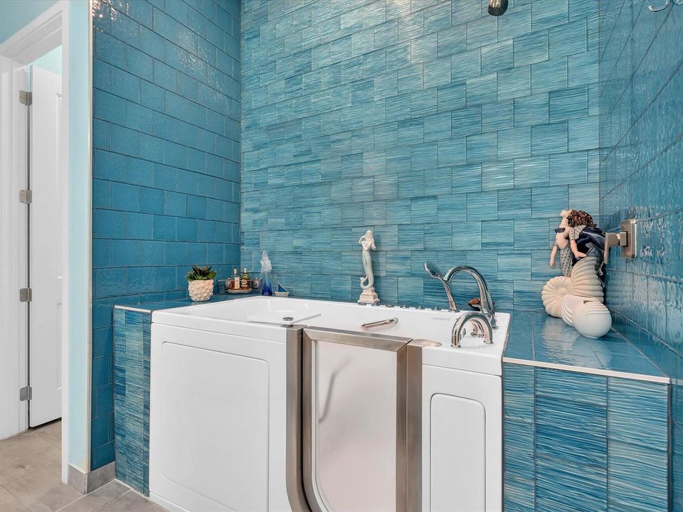 Primary Bathroom Walk-In Tub 1