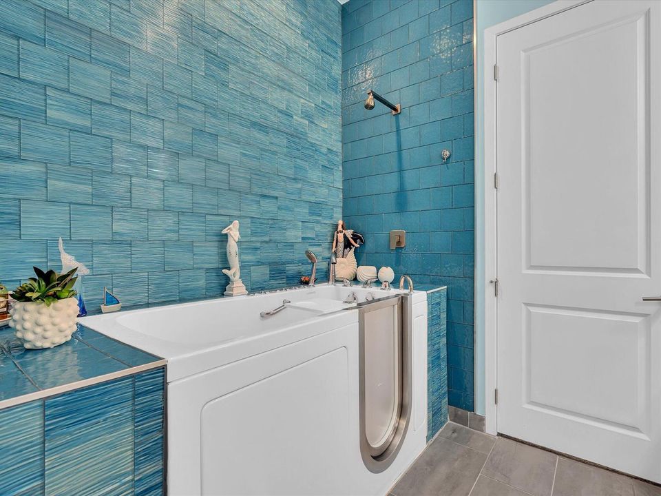 Primary Bathroom Walk-In Tub 2