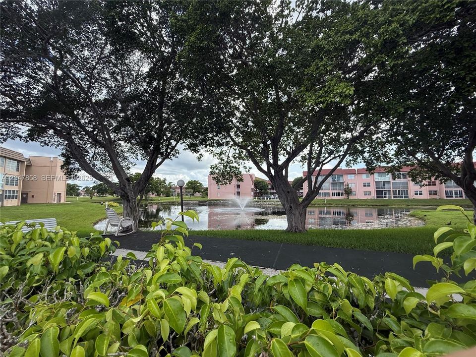 Clubhouse Area