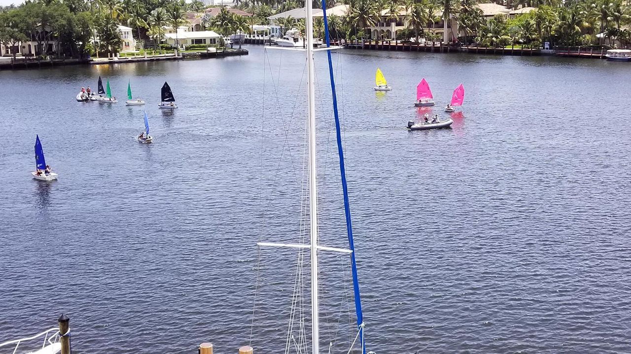 Sailboats