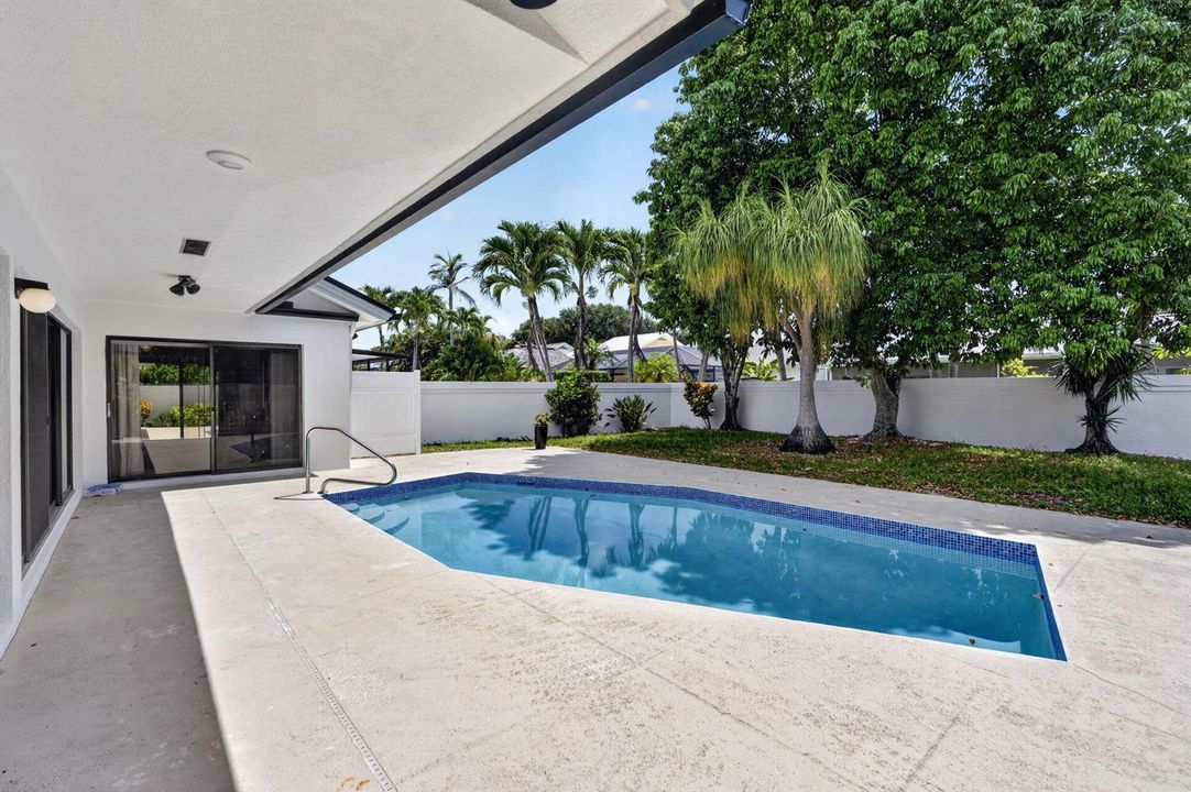 Large Backyard
