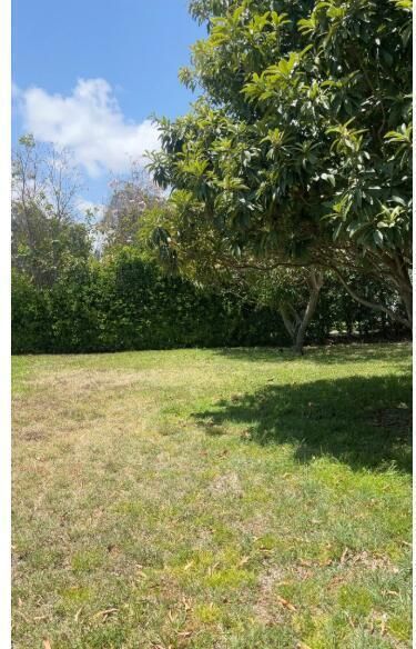 Large yard