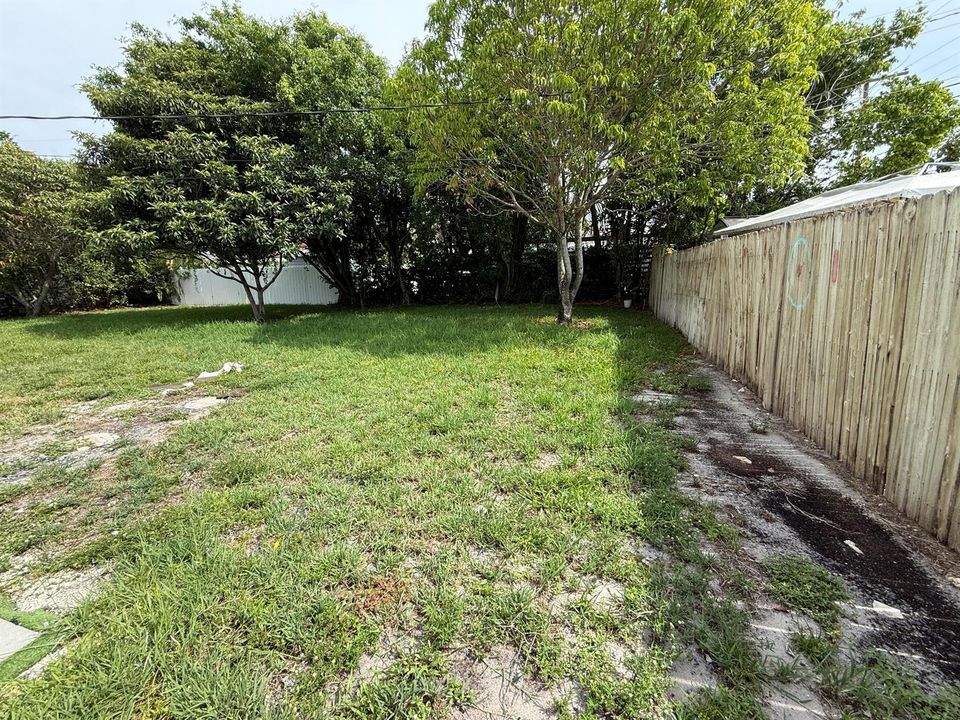 Large Backyard