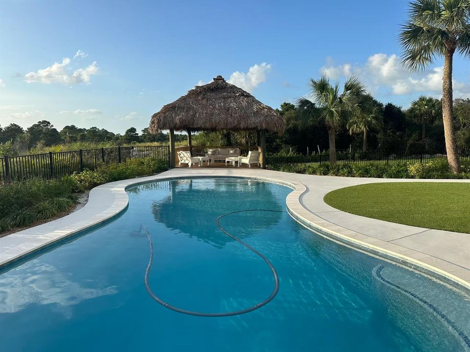 pool and tiki view