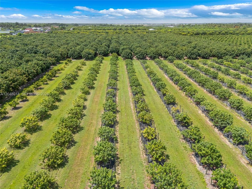 For Sale: $2,650,000 (15.00 acres)