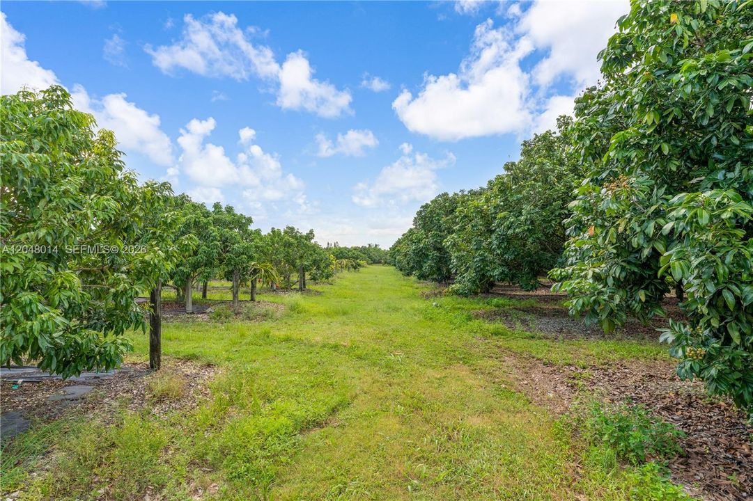 For Sale: $2,650,000 (15.00 acres)