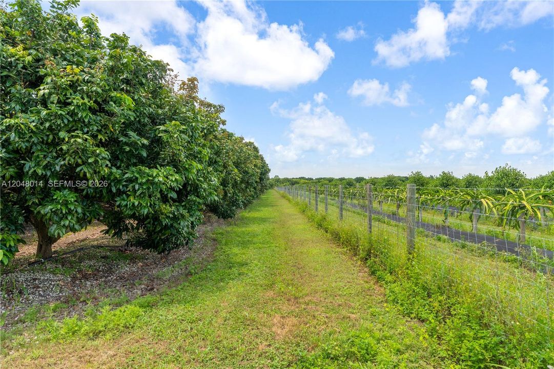 На продажу: $2,650,000 (15.00 acres)