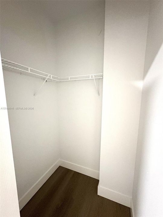 Walk-in Closet in Bedroom #2