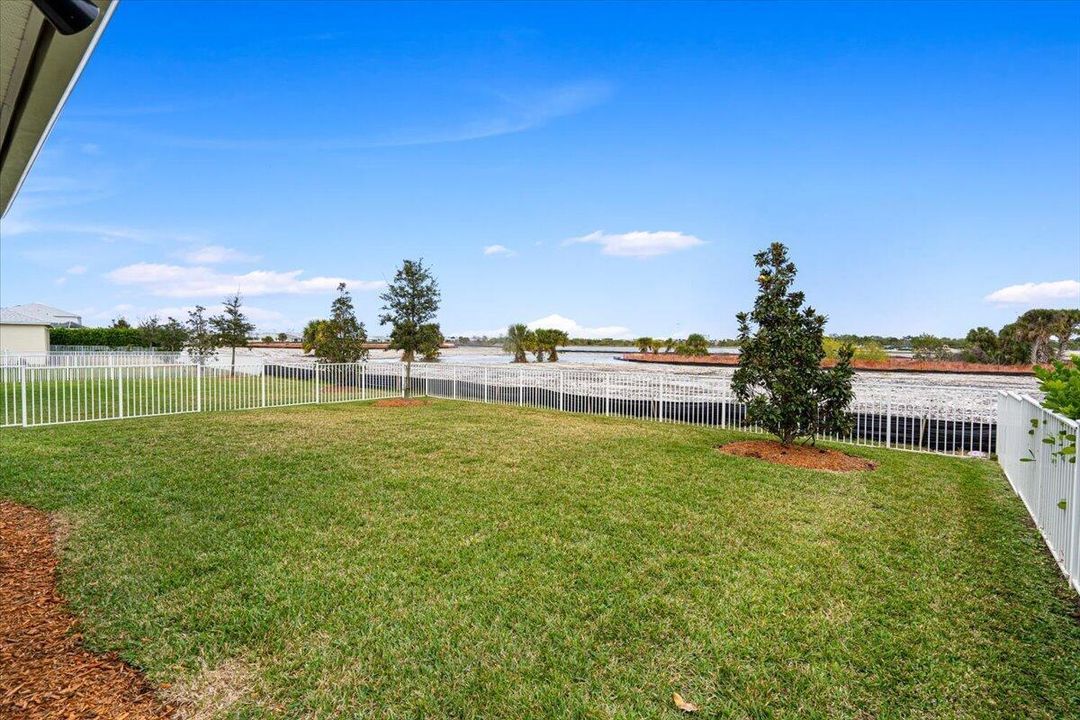 Fence - Yard - View
