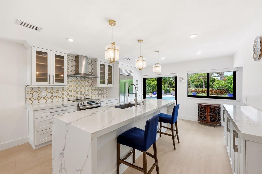 Renovated Chef's Kitchen