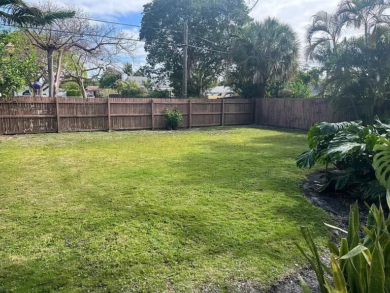 Backyard