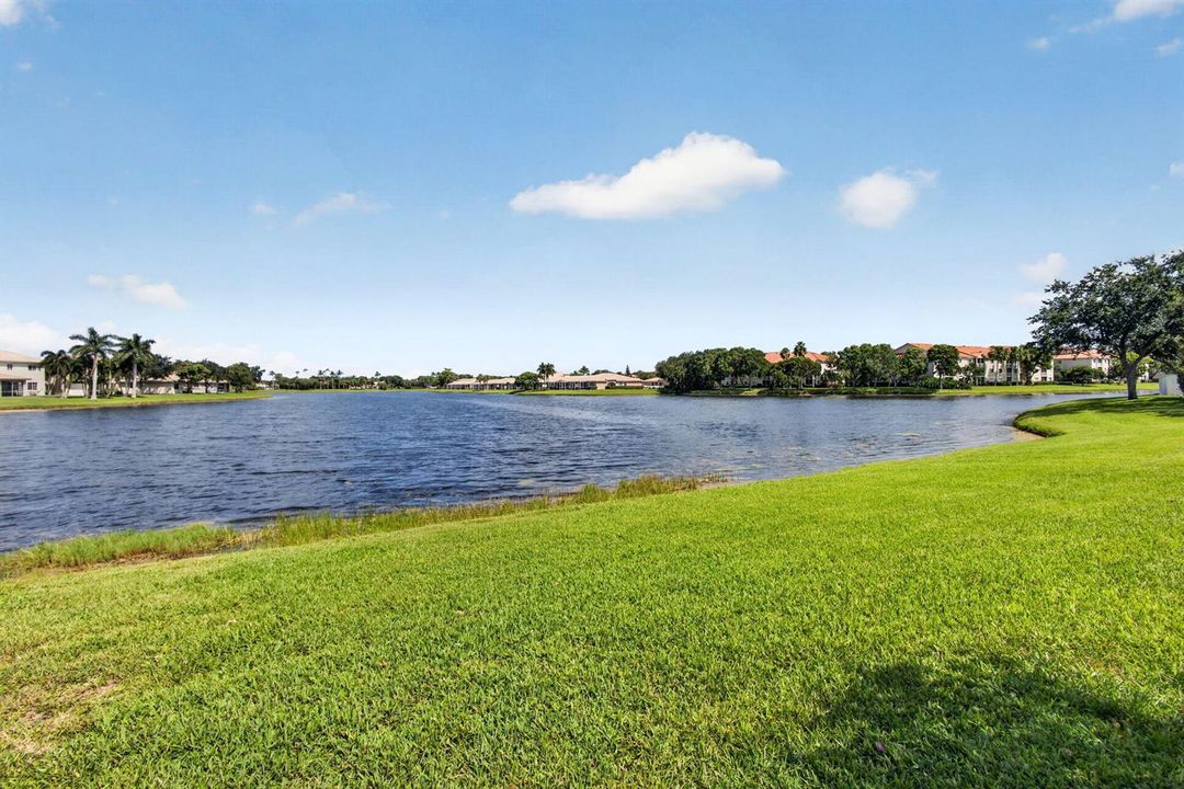 Long Lake View